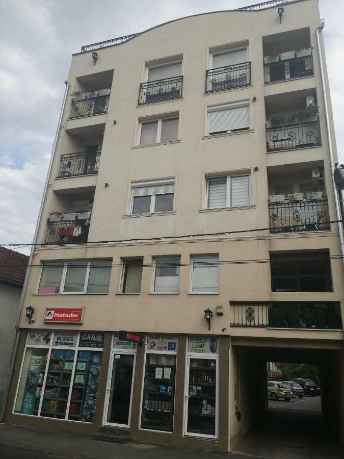 New And Nice Apartments Kragujevac Eksteriør bilde